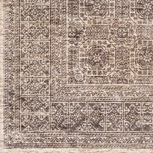 Surya Wembley WMY-2302 2' x 3' Rug