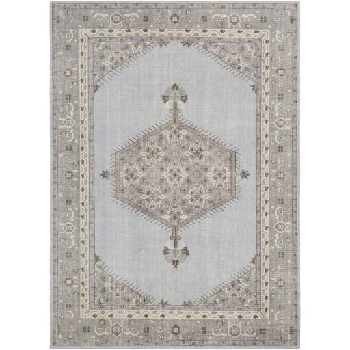 Surya Zahra ZHA-4028 2' x 3' Rug