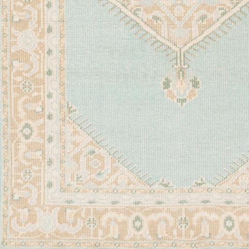 Surya Zahra ZHA-4029 2' x 3' Rug