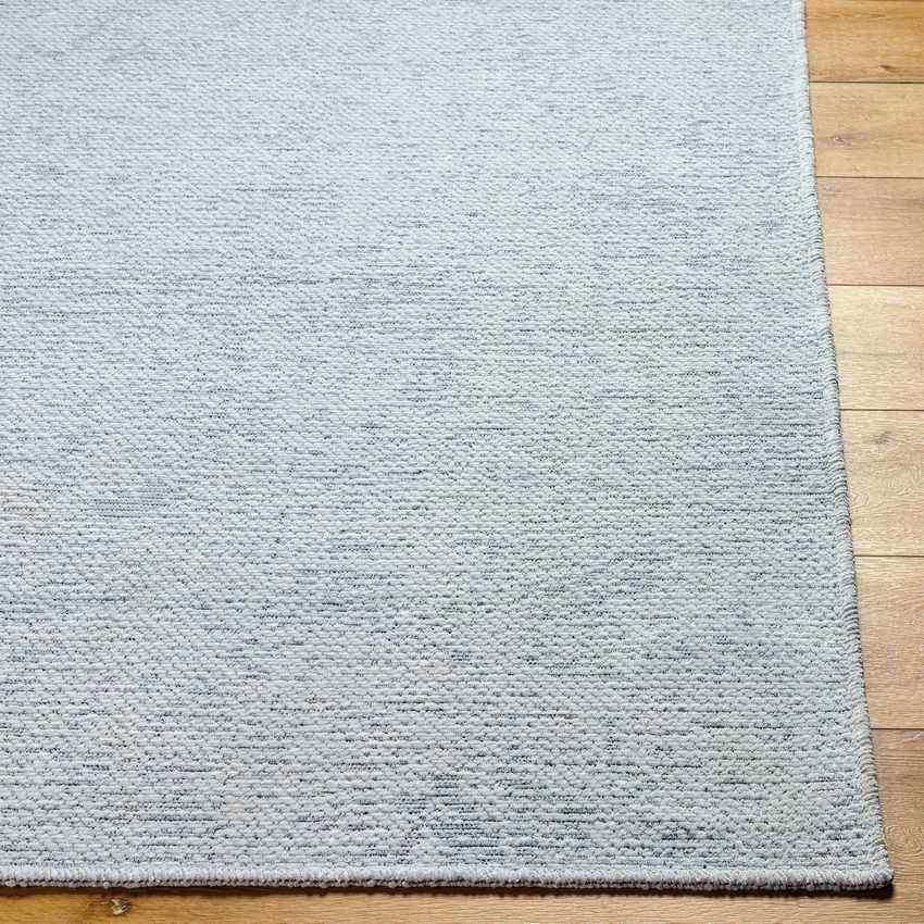 Tobey Solid and Border Light Sage Washable Area Rug