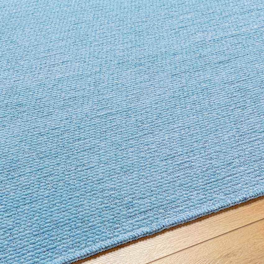 Tobey Solid and Border Pale Blue Washable Area Rug