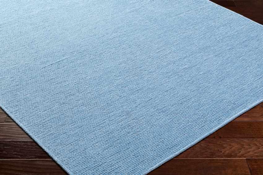 Tobey Solid and Border Pale Blue Washable Area Rug