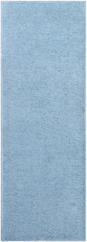 Tobey Solid and Border Pale Blue Washable Area Rug