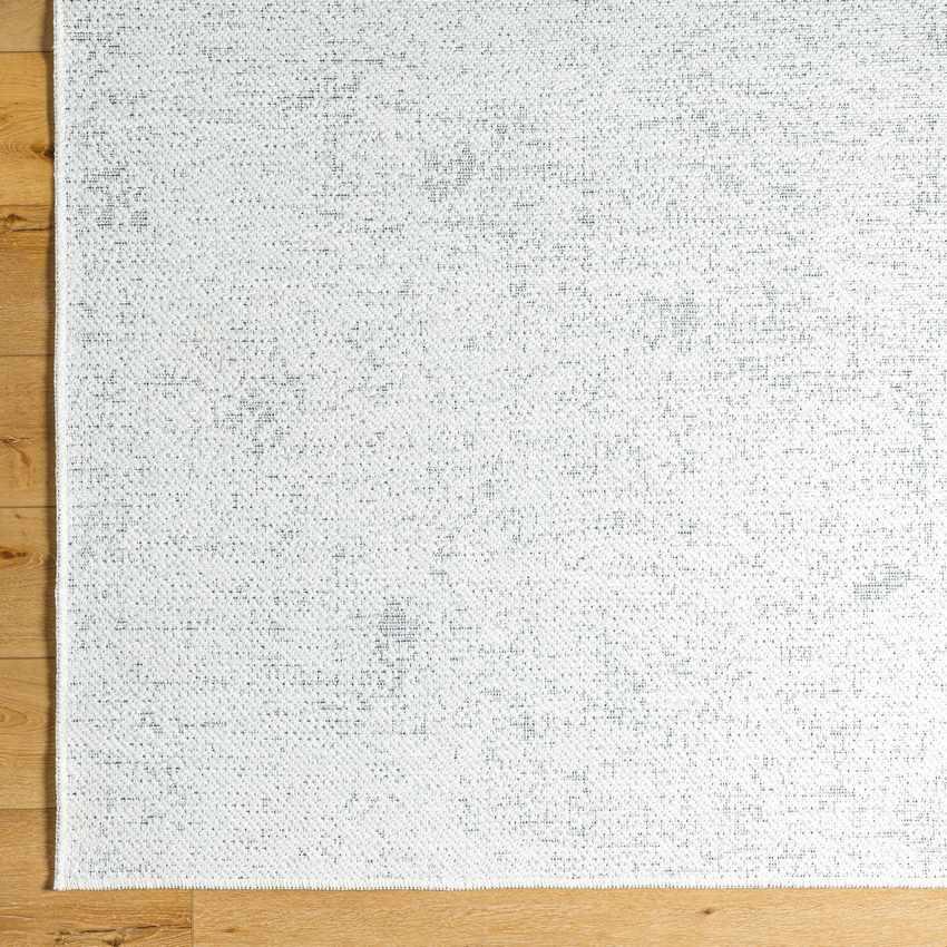 Tobey Solid and Border White Washable Area Rug