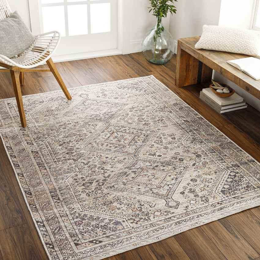 Tonganoxie Traditional Beige Washable Area Rug