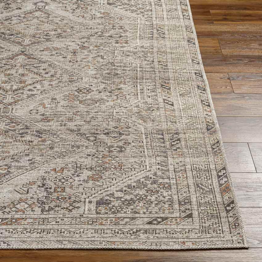 Tonganoxie Traditional Light Beige Washable Area Rug