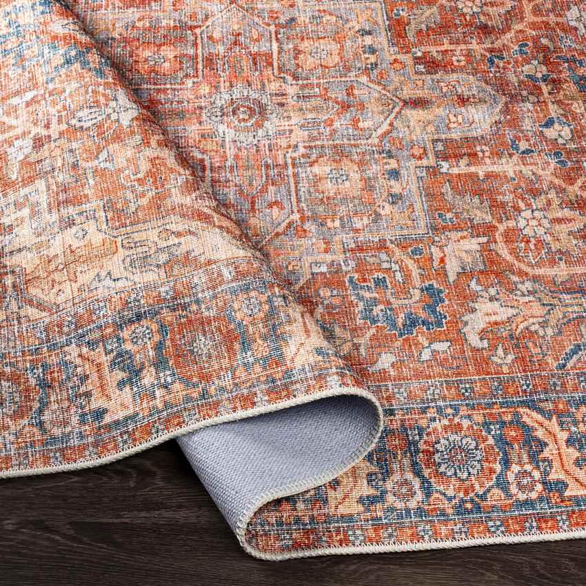 Vernon Hills Traditional Burnt Orange Washable Area Rug