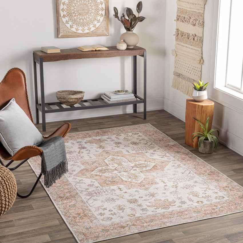 Walcott Traditional Burnt Orange Washable Area Rug