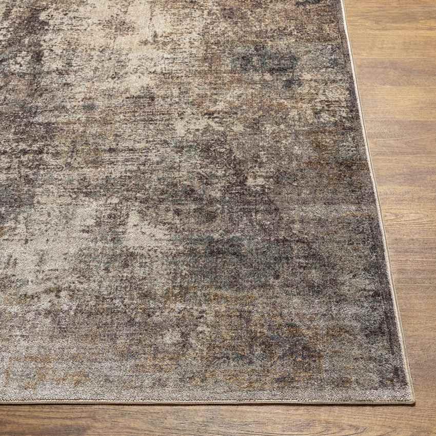 Walkerton Modern Mocha Washable Area Rug