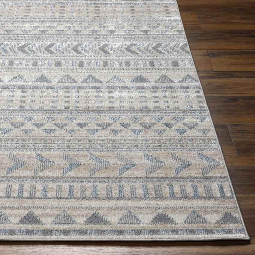 Wamego Global Light Gray Washable Area Rug