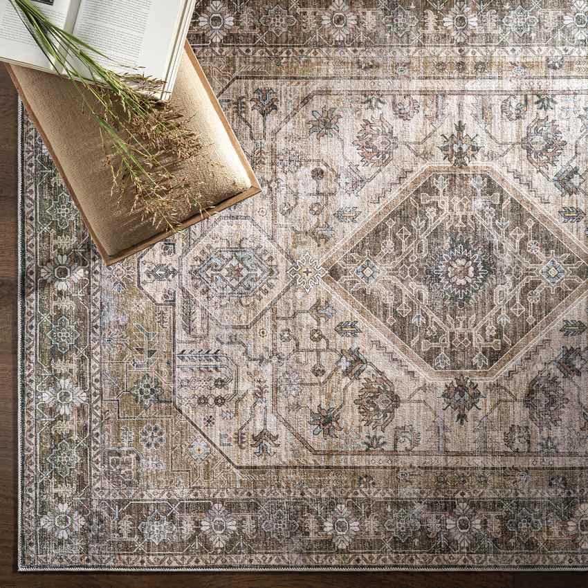 Washta Traditional Taupe Washable Area Rug