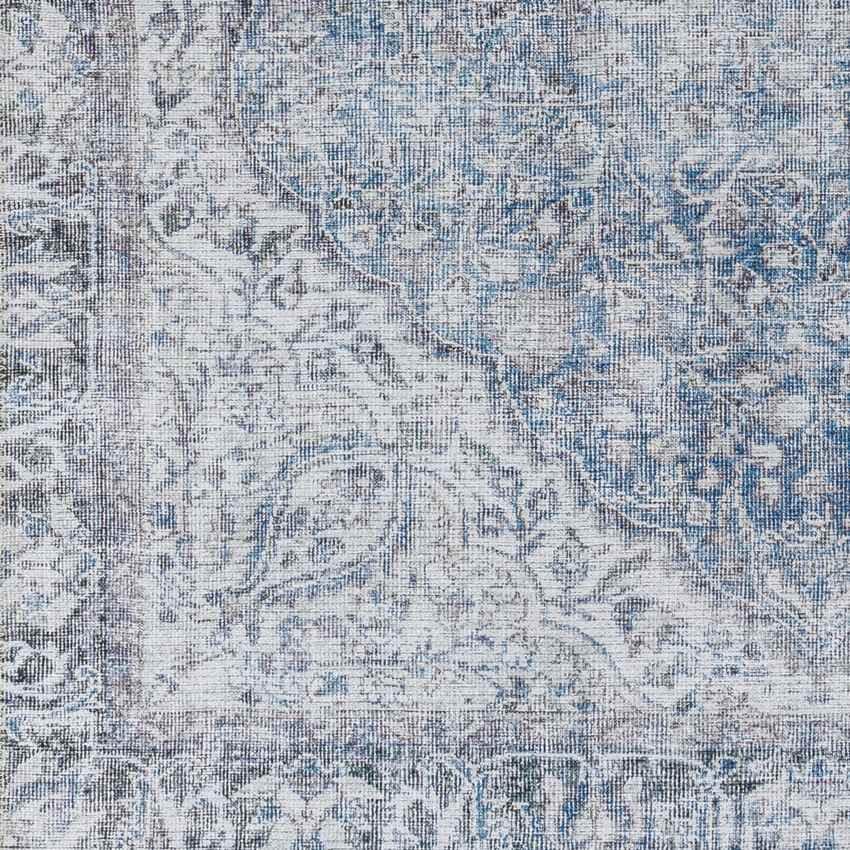 Waterville Traditional Blue Washable Area Rug