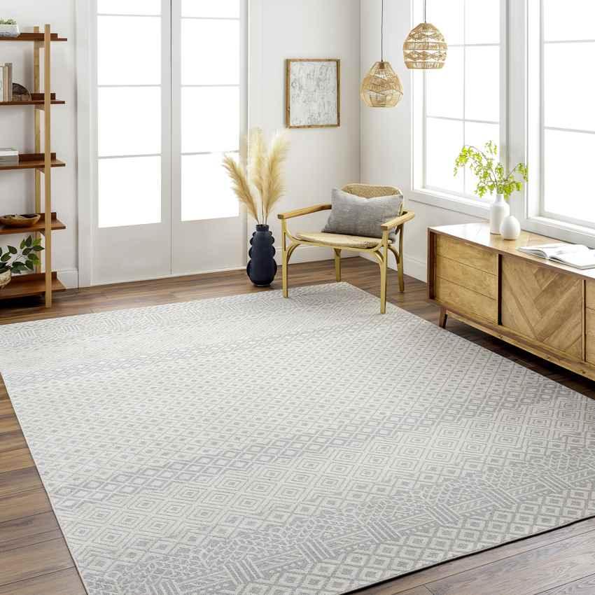 Waynetown Global Gray Washable Area Rug