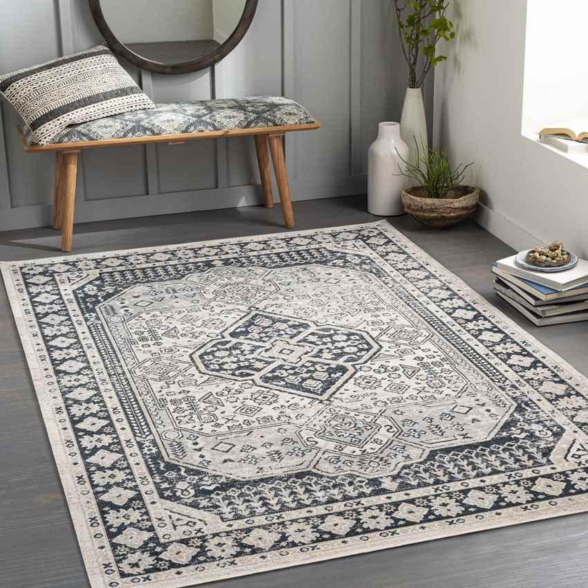 West College Traditional Light Gray Washable Area Rug