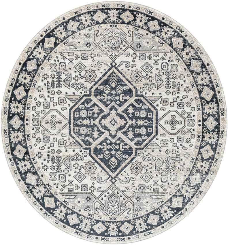 West College Traditional Light Gray Washable Area Rug