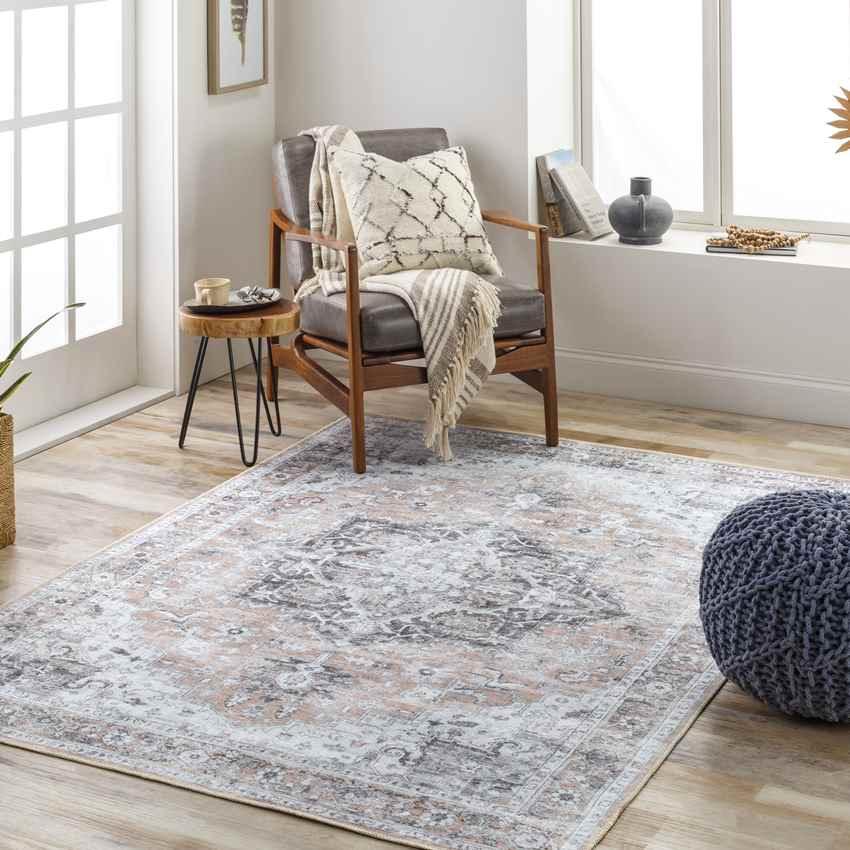 West Okoboji Traditional Gray Washable Area Rug