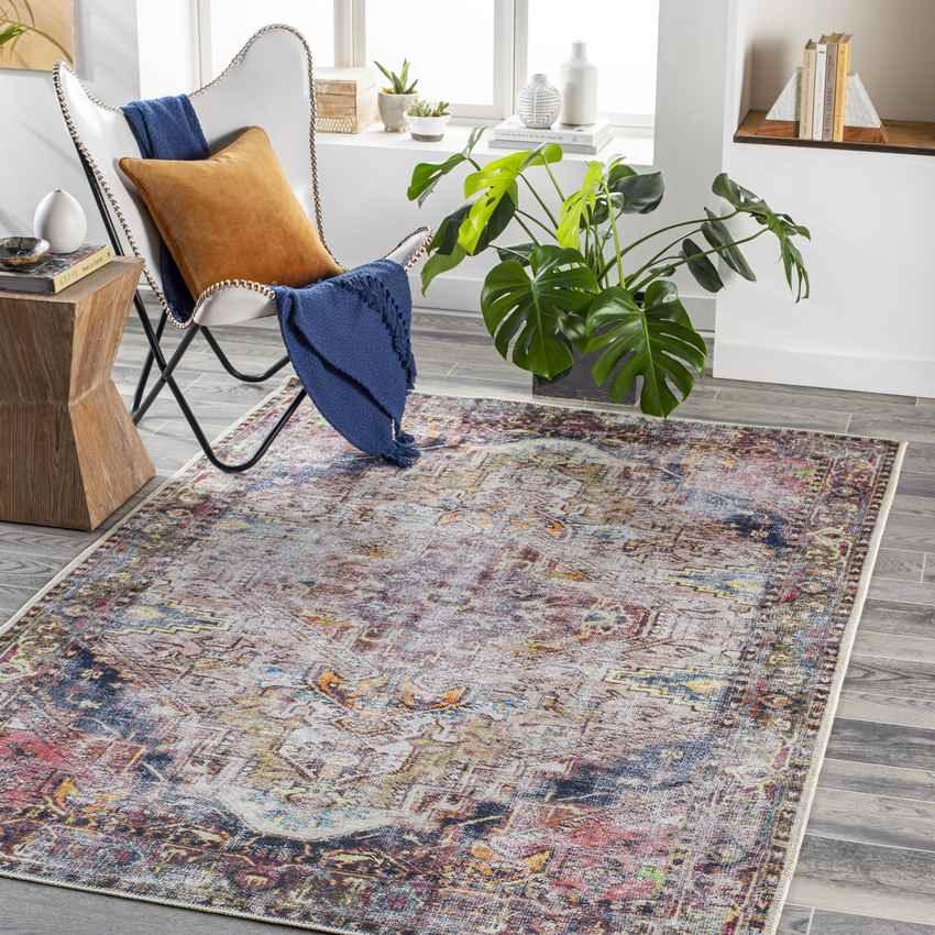 Whittemore Traditional Pink Washable Area Rug