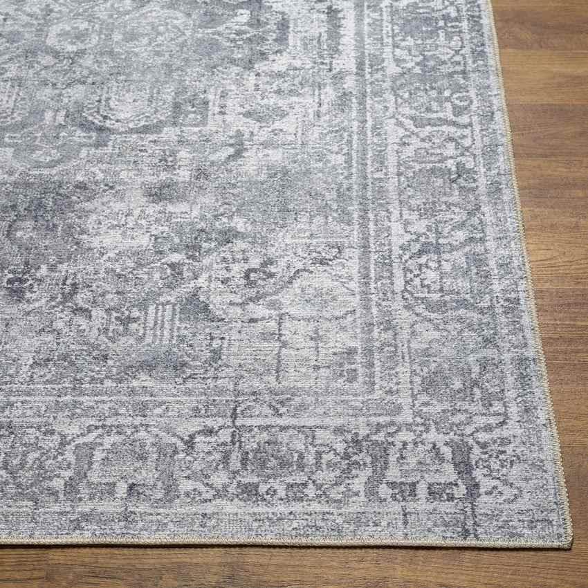 Whitten Traditional Light Gray Washable Area Rug