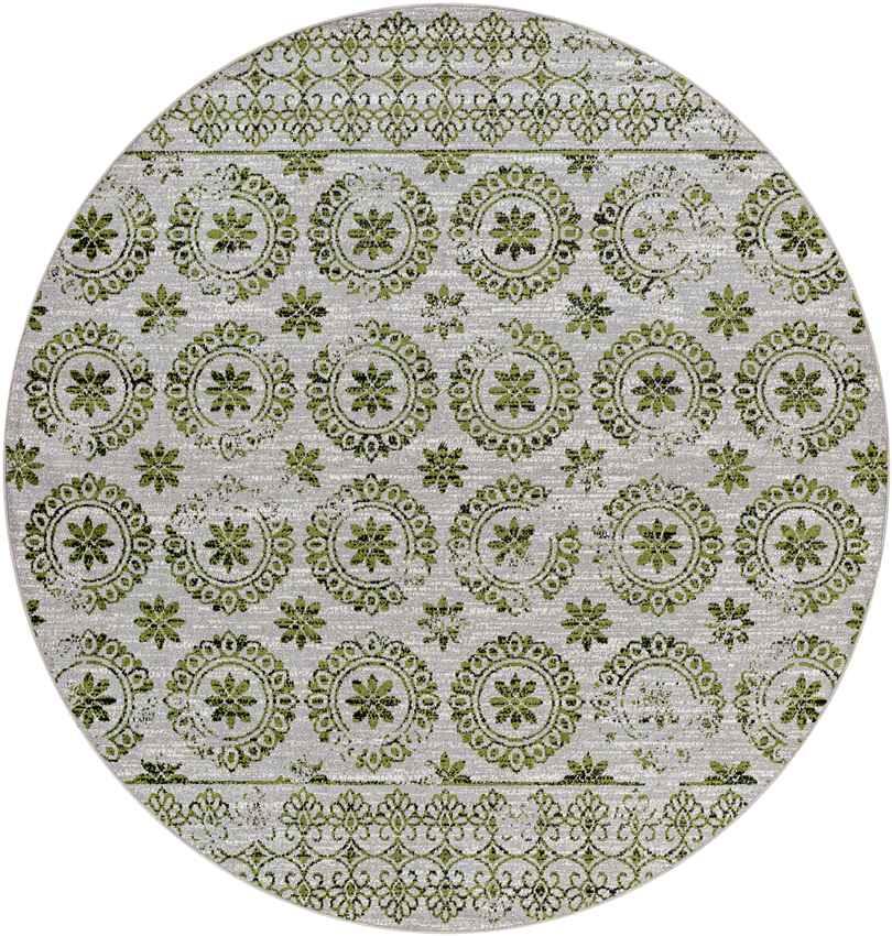 William Traditional Sage Washable Area Rug