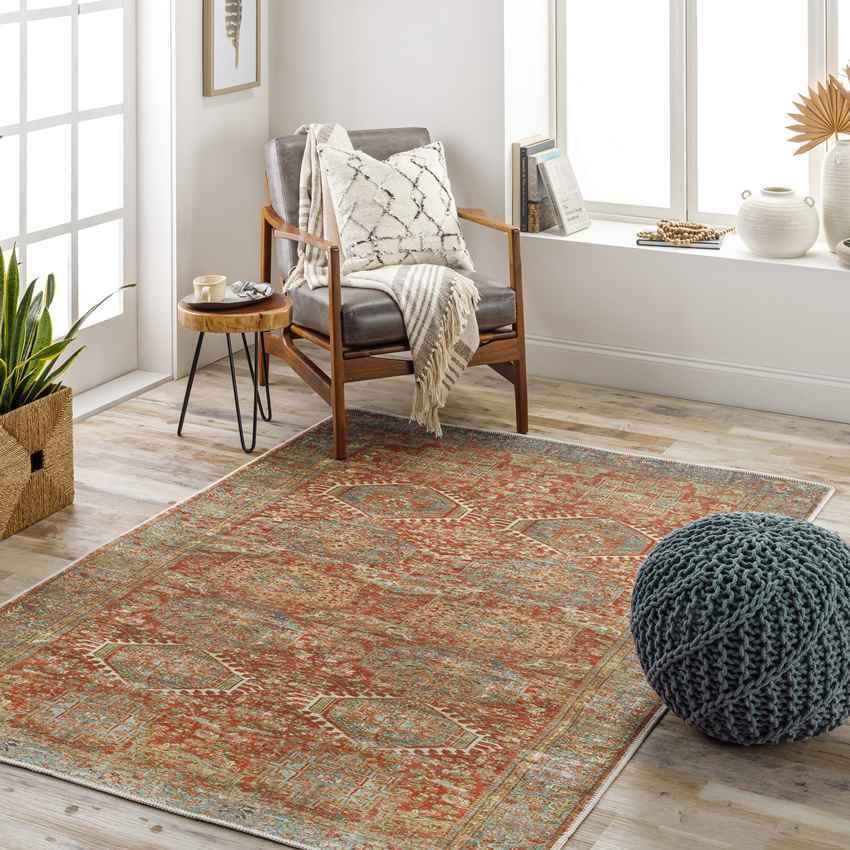 Xeros Traditional Rust Washable Area Rug