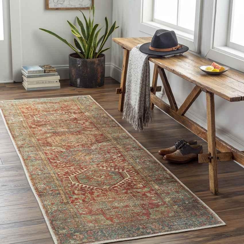 Xeros Traditional Rust Washable Area Rug