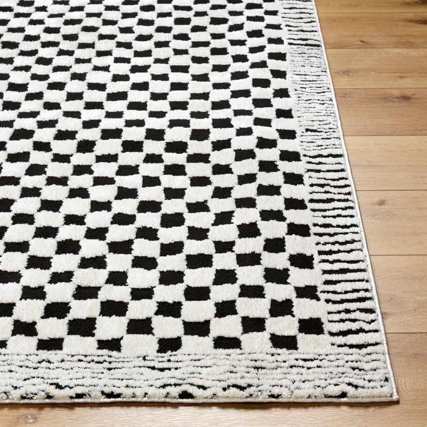 Zechariah Modern Ivory/Black Area Rug