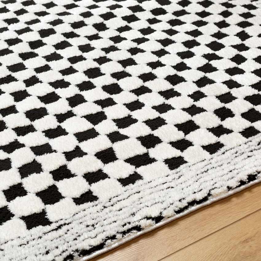 Zechariah Modern Ivory/Black Area Rug