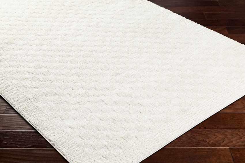 Zechariah Modern Ivory/Off-White Area Rug