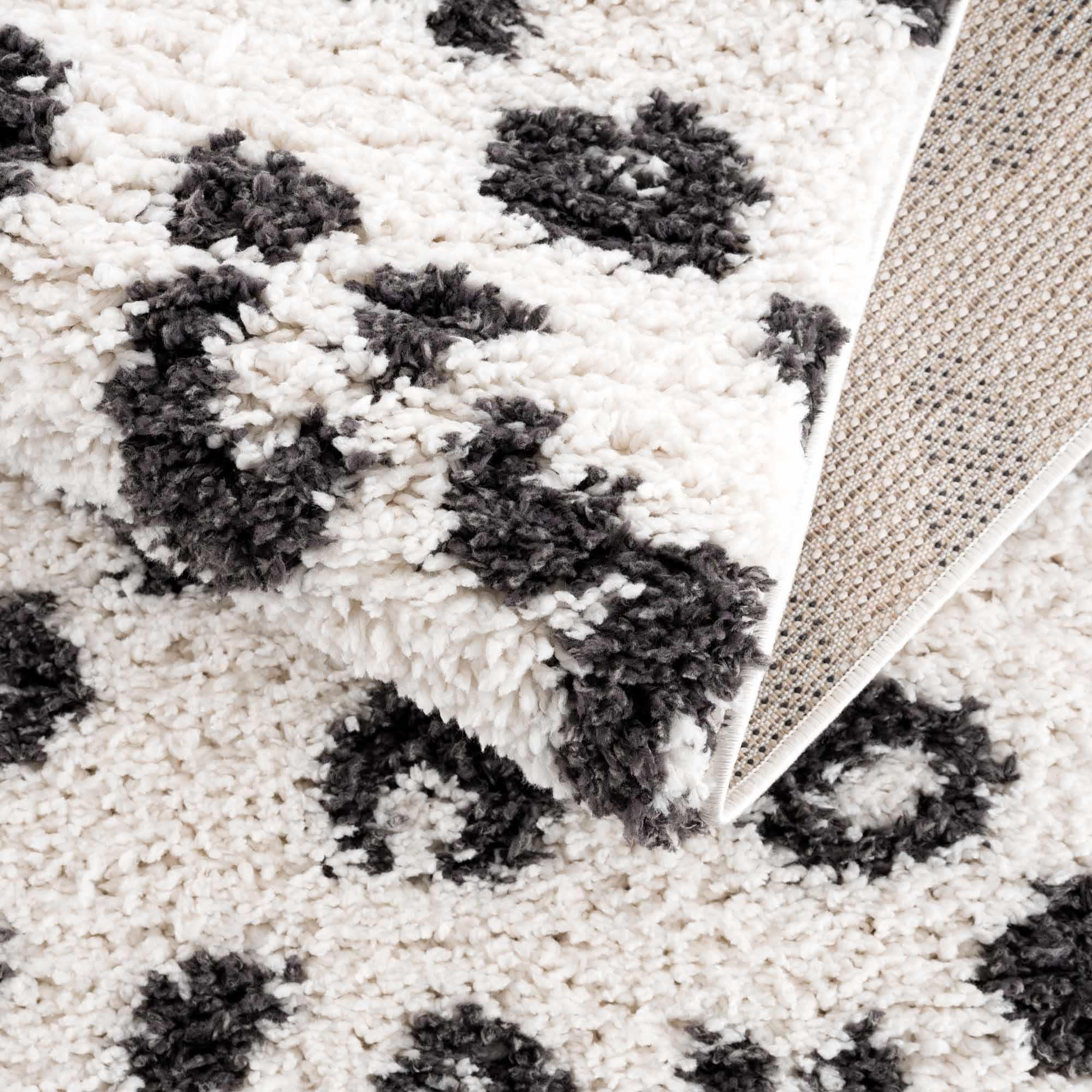 Zhen Black & White Area Rug