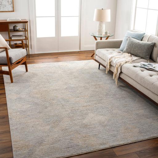 Surya Avant Garde AVT-2356 10' x 14' Rug