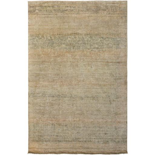 Surya Bayburt BAY-1752 2' x 3' Rug