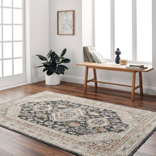 Surya Beckham BCM-2320 10' x 13'11" Rug