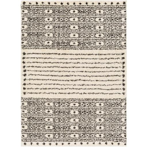 Surya Beni Shag BSH-2324 6'7" x 9' Rug