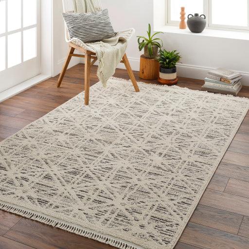 Surya Berlin BLR-2304 6'6" x 9' Rug