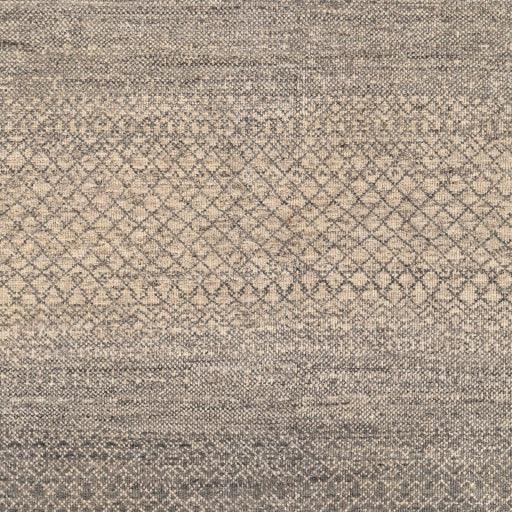 Surya Bethesda BTD-2300 10' x 14' Rug