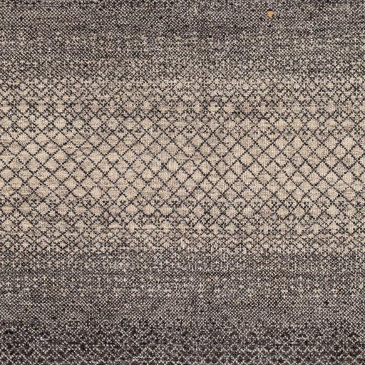 Surya Bethesda BTD-2301 10' x 14' Rug