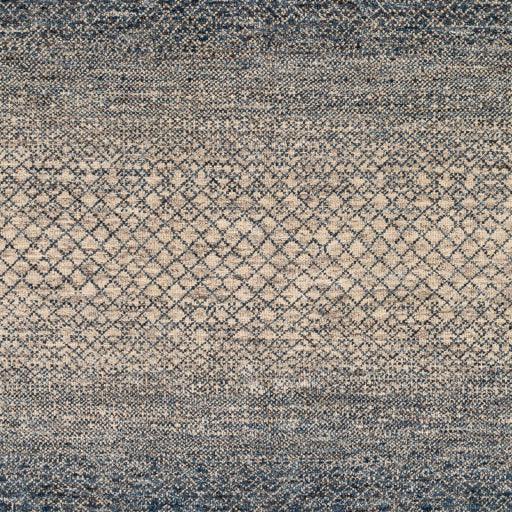 Surya Bethesda BTD-2302 10' x 14' Rug