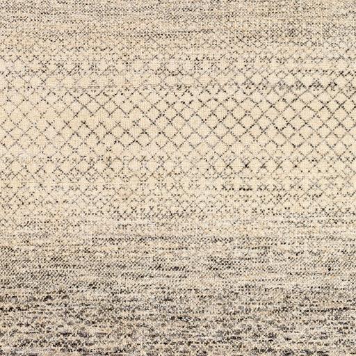 Surya Bethesda BTD-2303 10' x 14' Rug