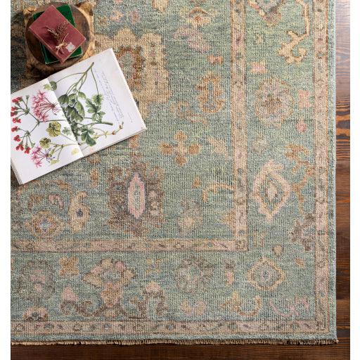 Surya Biscayne BSY-2305 2' x 3' Rug