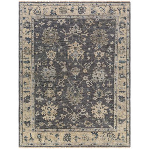 Surya Biscayne BSY-2307 2' x 3' Rug