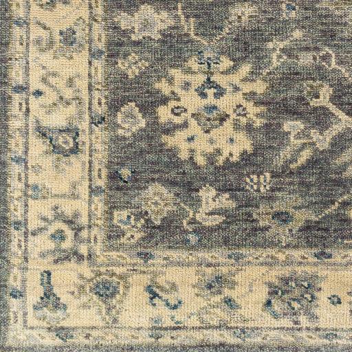 Surya Biscayne BSY-2307 2' x 3' Rug