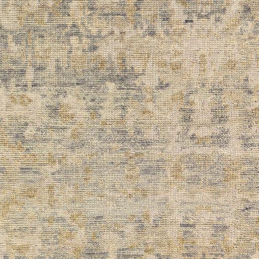 Surya Biscayne BSY-2310 2' x 3' Rug