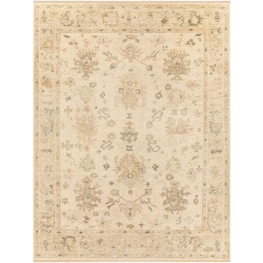 Surya Biscayne BSY-2312 2' x 3' Rug