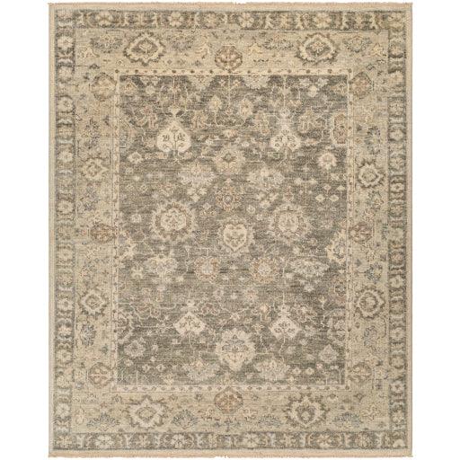 Surya Biscayne BSY-2316 2' x 3' Rug