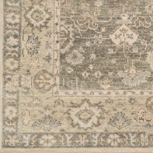 Surya Biscayne BSY-2316 2' x 3' Rug