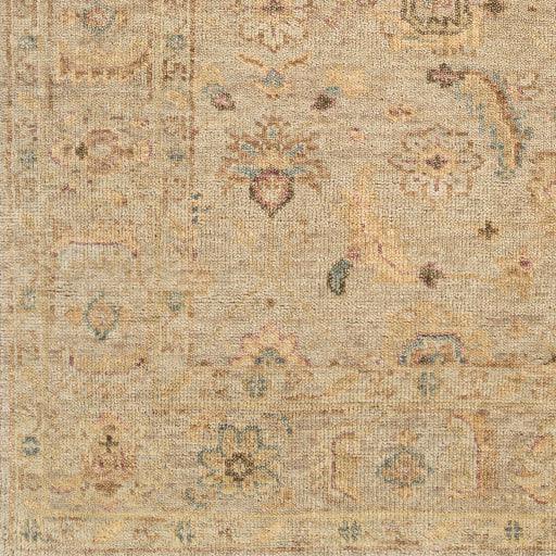 Surya Biscayne BSY-2317 2' x 3' Rug