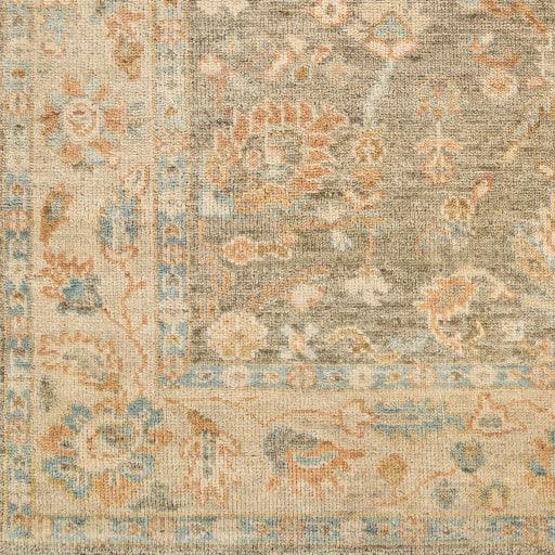 Surya Biscayne BSY-2318 2' x 3' Rug