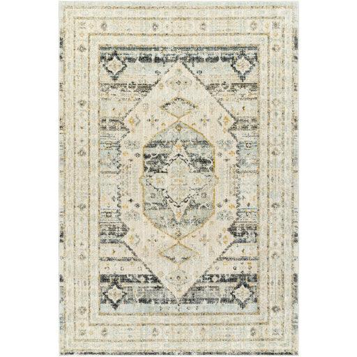 Surya Bitlis BSI-2300 6'7" x 9' Rug