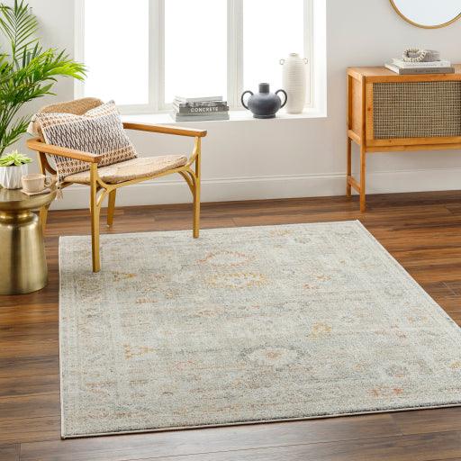 Surya Bitlis BSI-2302 6'7" x 9' Rug