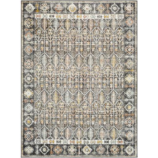 Surya Bitlis BSI-2304 6'7" x 9' Rug